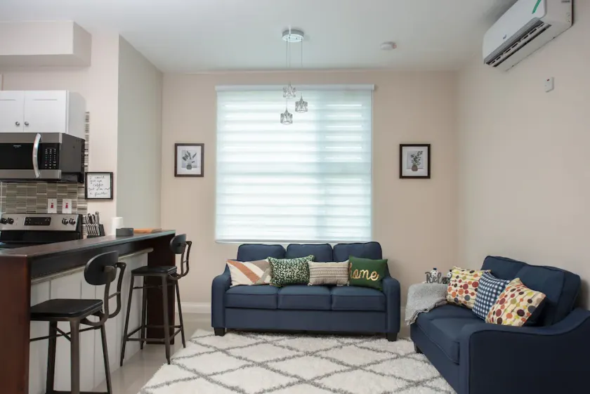 Luxurious Apartment in Kingston!! - Image 1