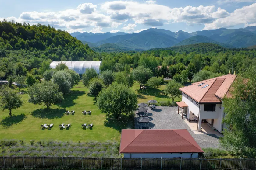 Pensiunea Negoiu  - Image 1