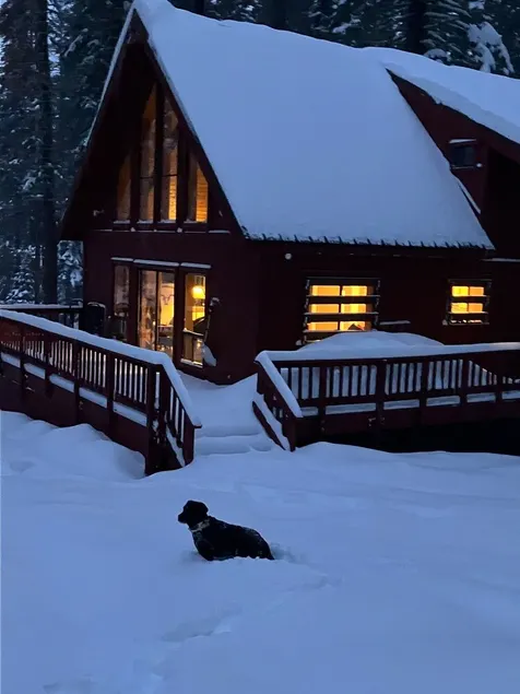 Tahoe area Cabin, Pet Friendly, 3 miles to Sugar Bowl, On x-country ski trail - Image 1