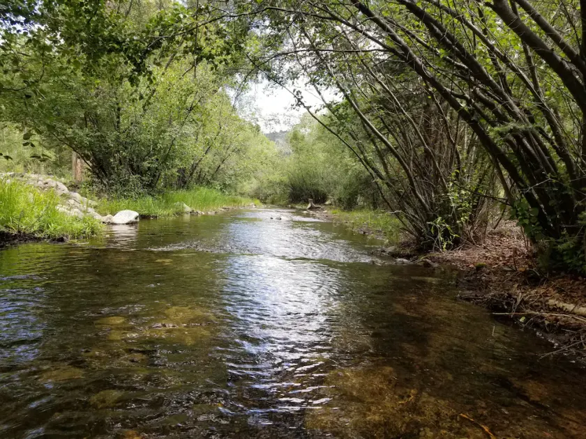 Aspen Grove - spend some time by a creek! 3 bedrooms each with private entrance. - Image 1