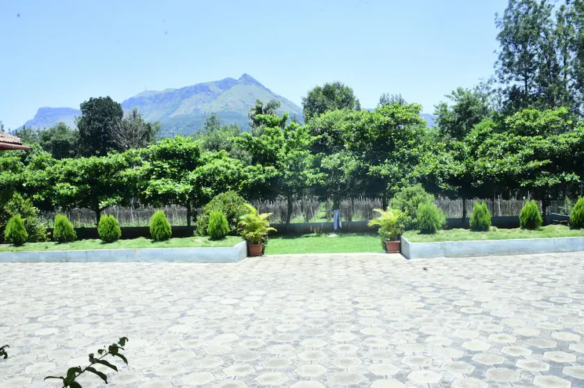 Misty Green - Image 1