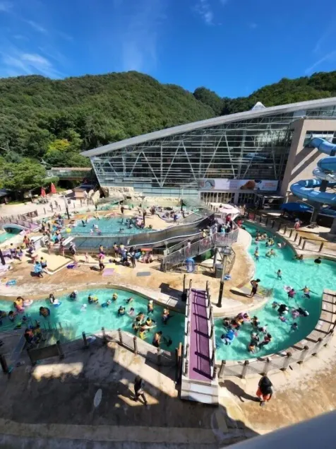 Heidi Korea - Image 1