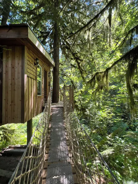 Squamish Tree House - Image 1