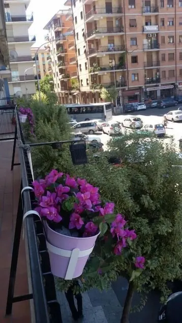 B&B San Francesco - Image 1