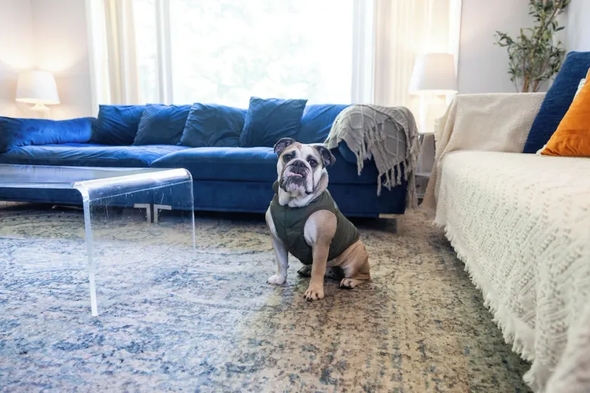 MDRN Kid-Friendly Apt|Charming|Private|Sunny|Fast Wi-Fi| Parking - Image 1