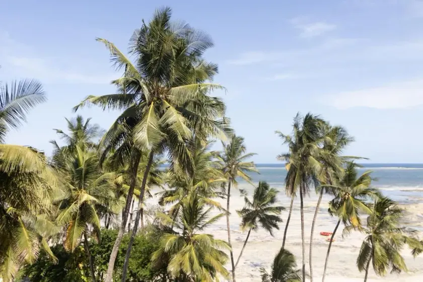 Beachfront Luxury Apartment - Image 1