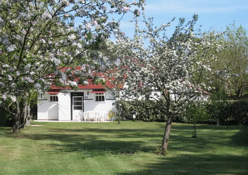 Charming house with large enclosed garden, at the foot of the dunes â 4 km from the ocean - Image 1