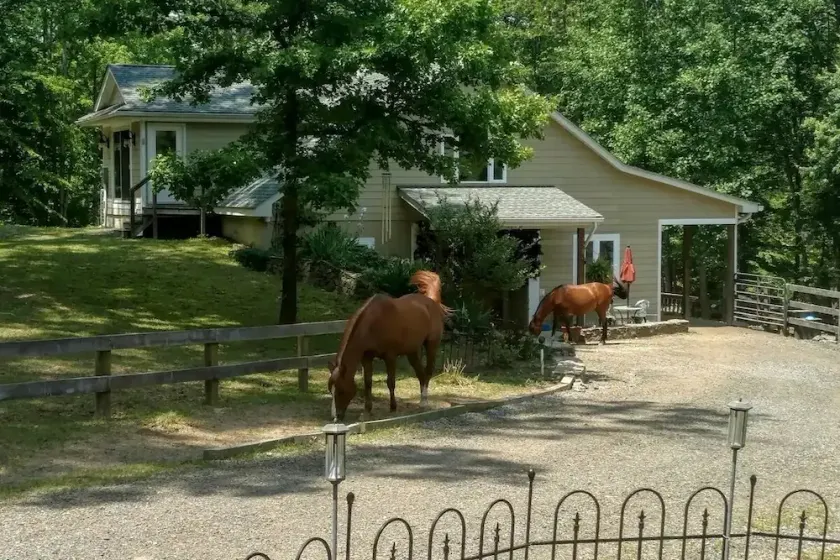Licorne Hollow / Vin VA / Grands Prés / Warrenton / Les Plaines - Image 1