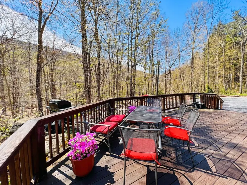 Close to Phoenicia, Woodstock Brewery, Belleayre, Mountain View, Backyard Stream - Image 1