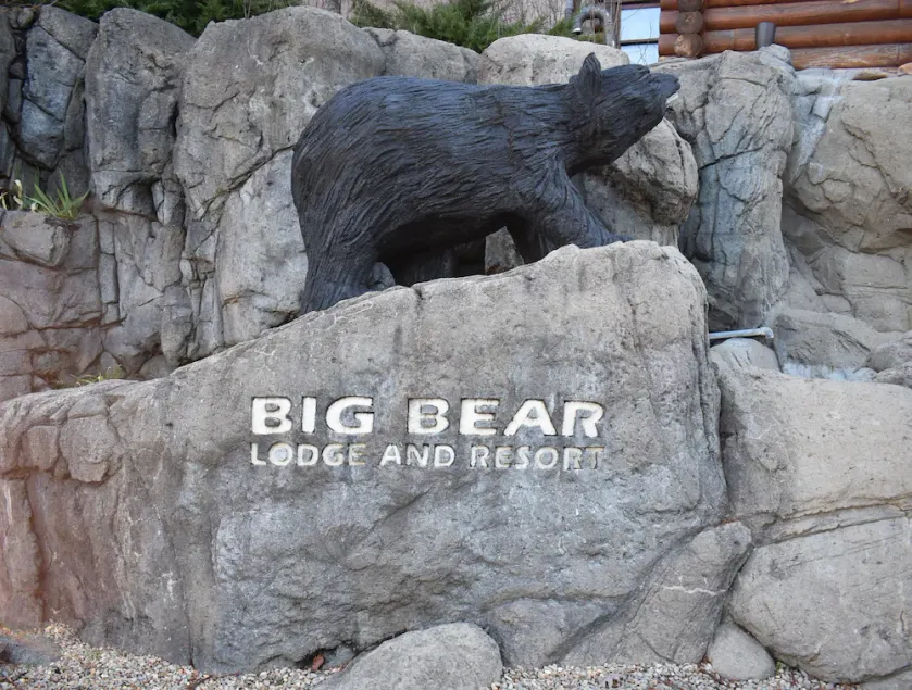 Bear Elegance in the Heart of Pigeon Forge - Image 1