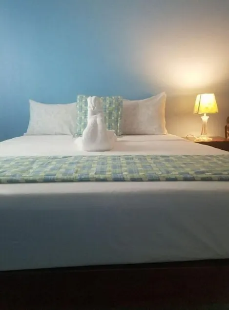 Apartment within Private Home located twenty minutes from Devon House. - Image 1