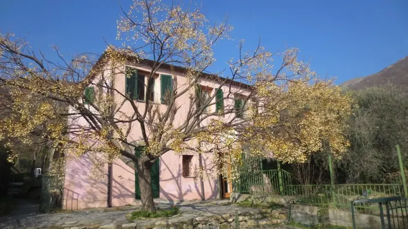 Die Casa degli Orti e Giardino n. 1 - Image 1