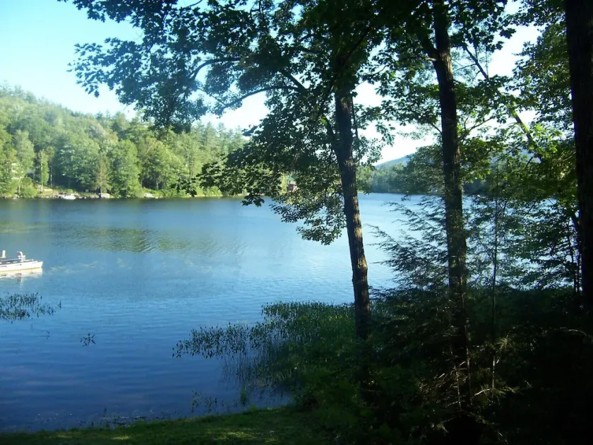 Cozy Cabin on Loon Lake - Image 1