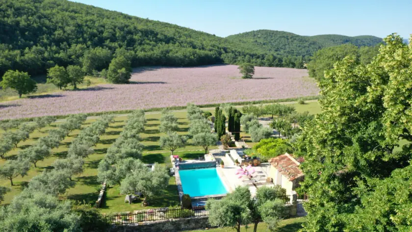 Ancienne bergerie du 18è restaurée avec beaucoup de gout au milieu des lavandes - Image 1