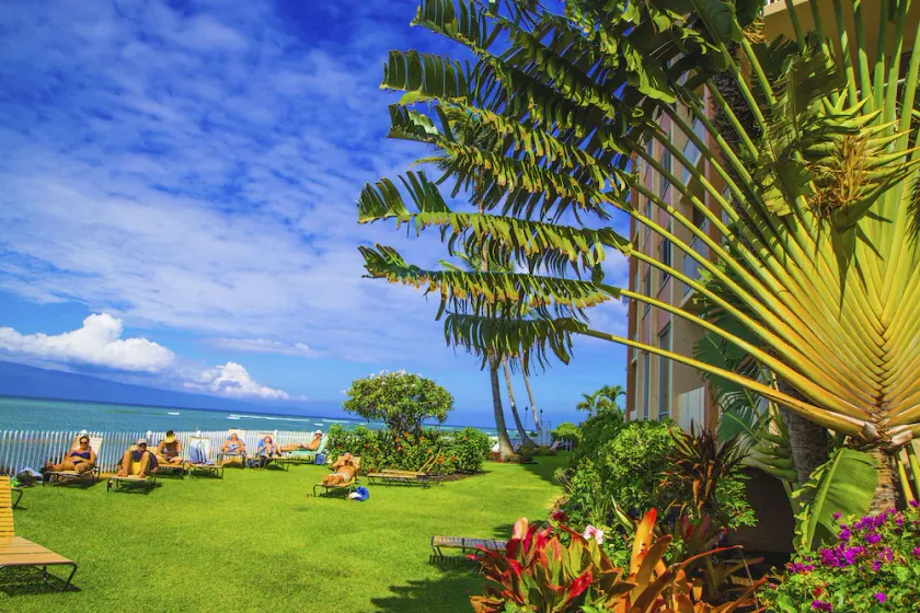 Royal Kahana 318 Studio Bedroom Condo by RedAwning - Image 1