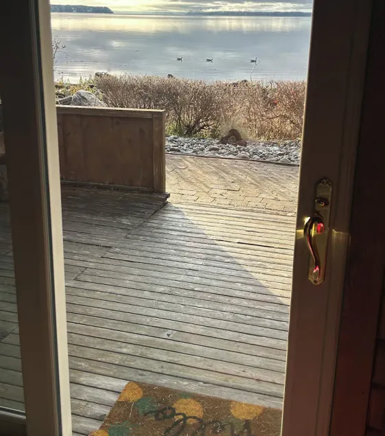 Camano Waterfront Beach Wood Cabin - Image 1