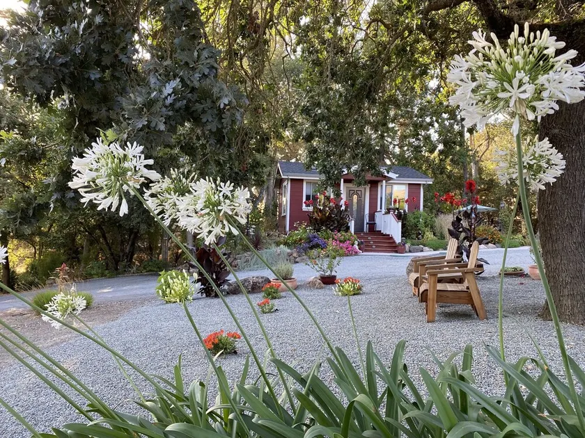 ~ AMITABHA ~ Wine Country Cottage! Idéalement situé à Santa Rosa - Image 1