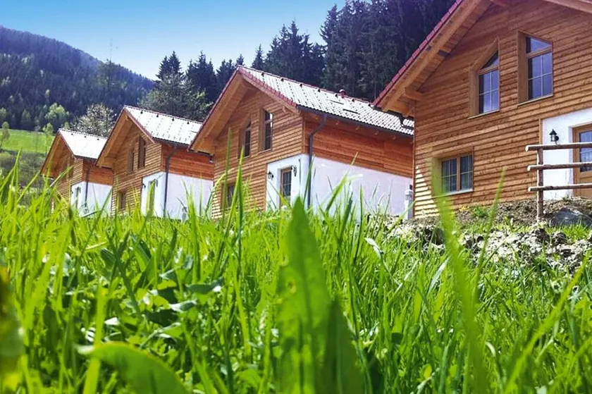 Holiday home in Gaal im Murtal in a beautiful setting - Image 1