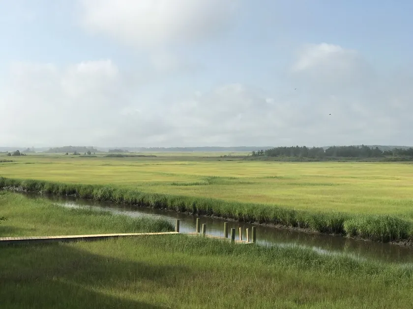 Entspannender Rückzugsort - Schritte zum Strand, herrliche Aussichten und privates Dock - Image 1