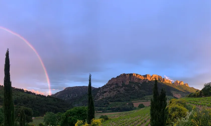 Gîte in the heart of the Dentelles de Montmirail - Image 1
