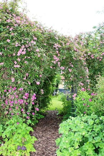 The Vine B & B - Image 1