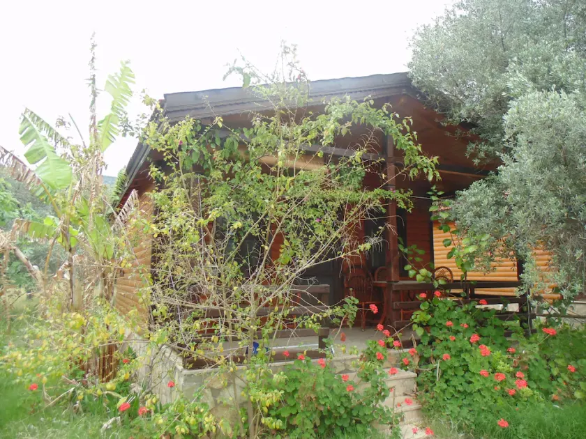 Datça, wooden Chalets few steps from the Sea! - Image 1