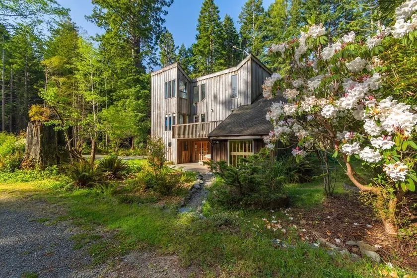 Dream House in the Redwoods with hot tub and sauna - Image 1