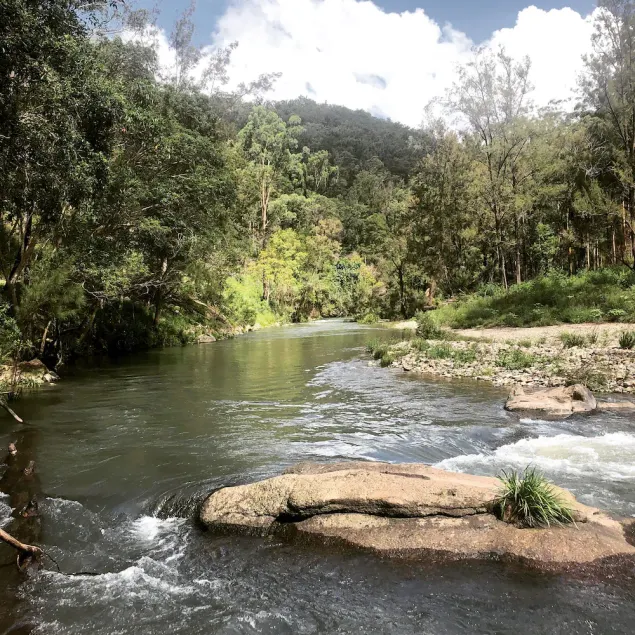 Mid North Coast Macleay Valley Mountain Views - Pet Friendly Cottage - Image 1