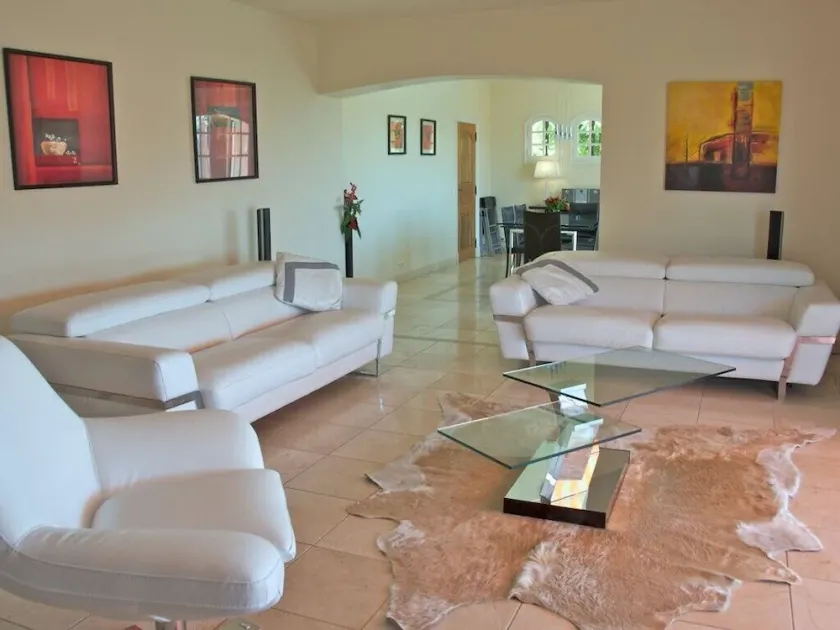 Luxury Provençale Villa Overlooking The Bay of Cannes - Image 1