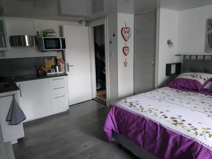 Nice new studio near Strasbourg Label 2 * - Image 1