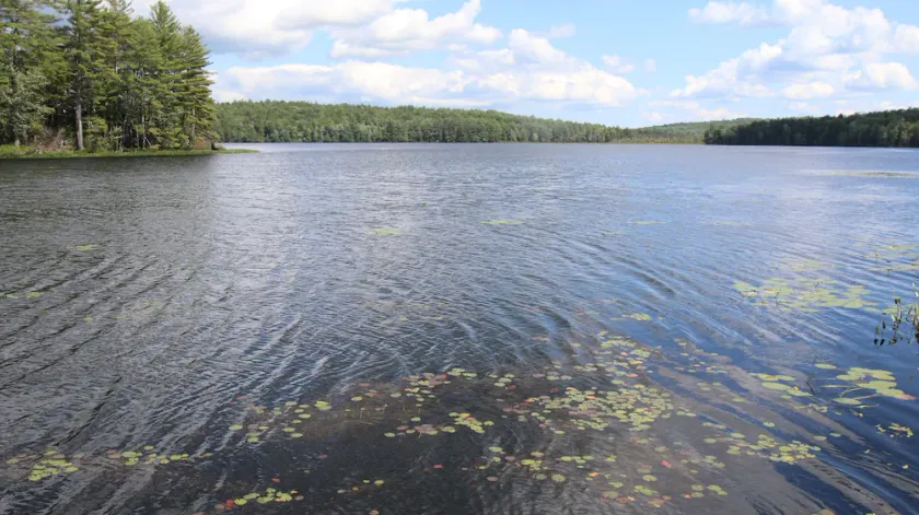 Waterfront Cottage on Scenic Sportsman Pond - Image 1