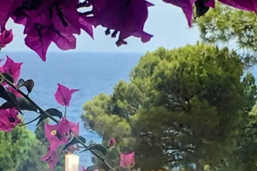 Lets Holidays House Beach In Cala Salions - Image 1