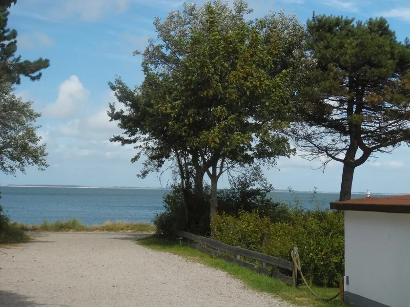 Kuestenperle - Image 1