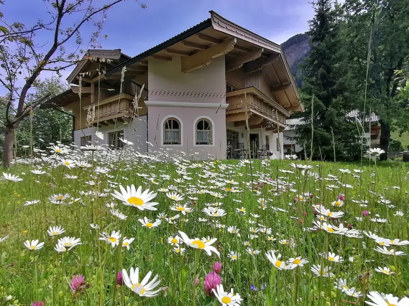 Spacious, sunny country house in the Alps with its own garden - Image 1