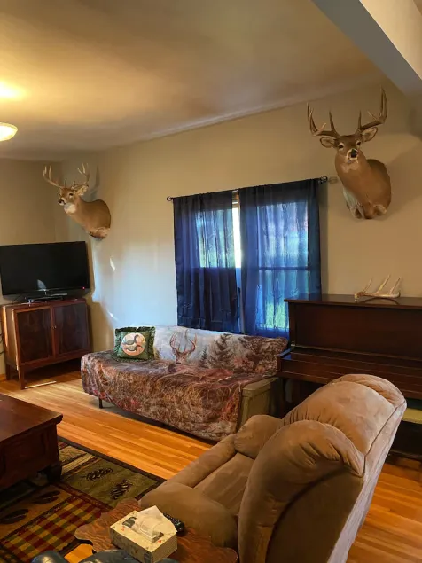 Private updated hunting lodge/farmhouse - Image 1