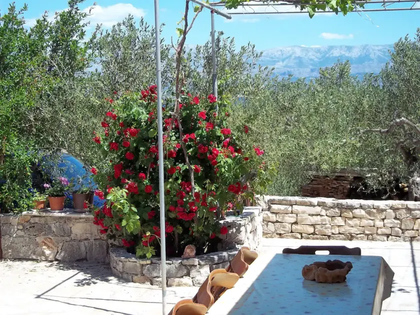 Holiday Home Ruža - Image 1