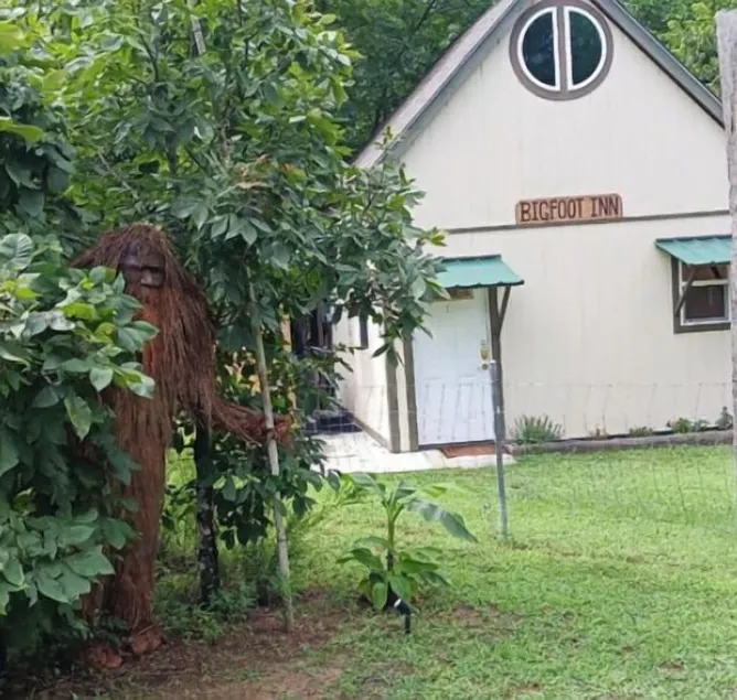 Bigfoot Inn -cabin with loft -near Illinois River - Image 1