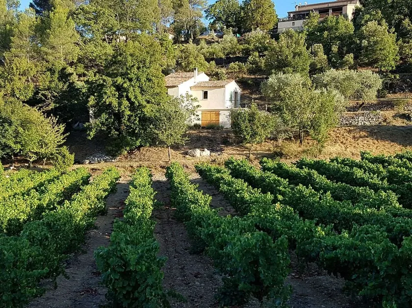 La Bastide des Oliviers.charming villa in a peaceful setting with swimming pool - Image 1