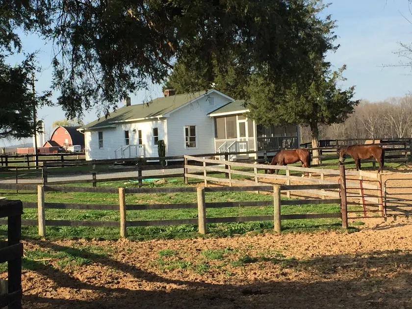 Elegantes Landhaus auf 600 Acre Horse & Cattle Farm - Image 1