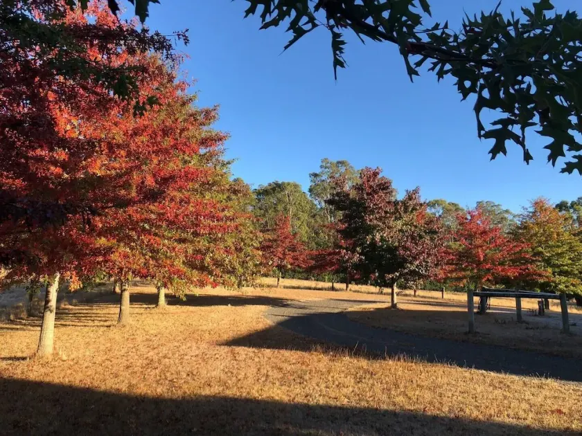 Greenacres - Relaxing Escape in the Macedon Ranges - Image 1