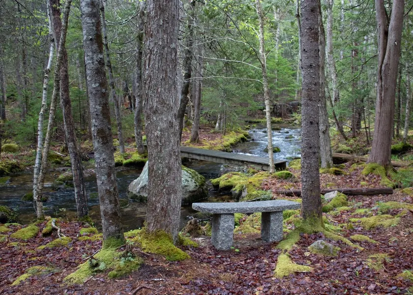Peaceful Basement Apartment among serene woods, paths, and a stream near Acadia  - Image 1