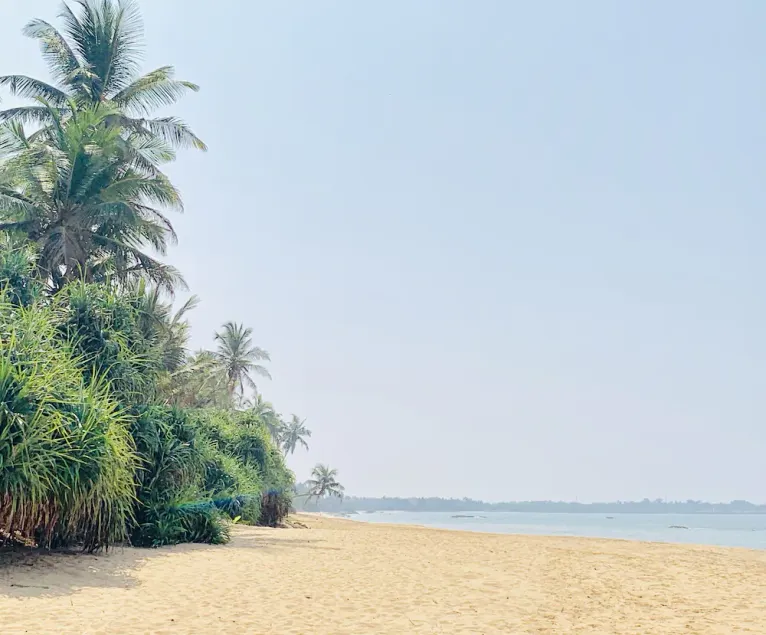 MICHS Beach Villa - Maggona - Image 1