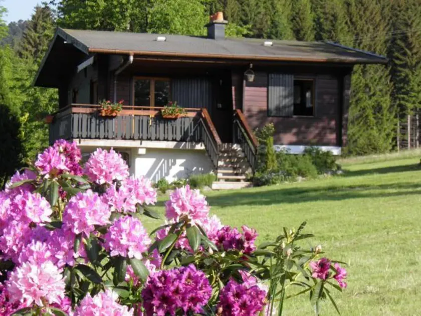 Family Chalet near Valtin: Nature, Ski, & Cozy Comfort - Image 1