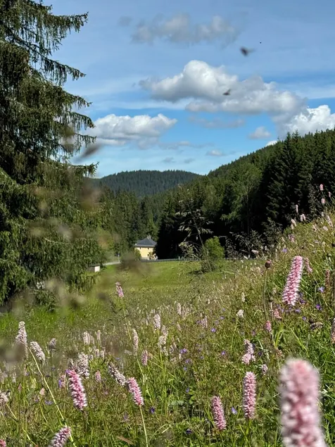 Bohemian Mountain Reserve im Naturpark Erzgebirge - Image 1