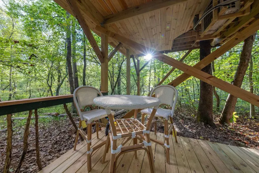 Luxury, Secluded Treehouse on the Rivanna River - Image 1