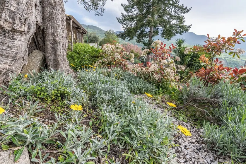 Da Donata - A Private Retreat Stay - Image 1