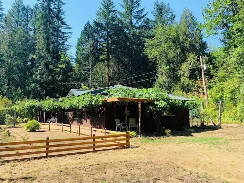 McKenzie Grapevine Hideaway—private mini villa - Image 1