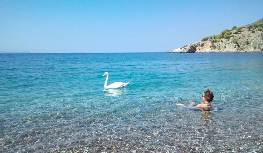 Self-catering Beach Studios in front of the sea Only 1h From Athens - Image 1