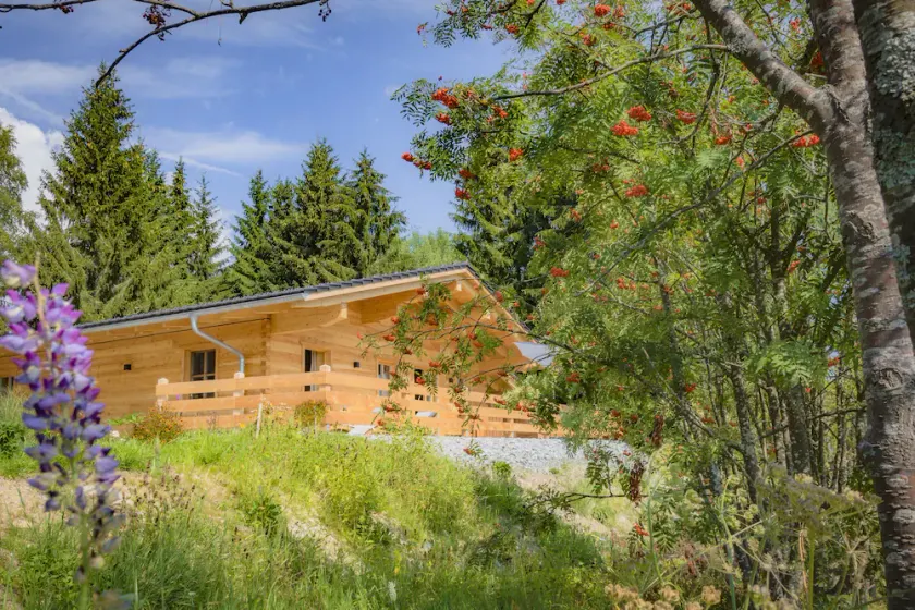 Nuevo chalet de lujo en el Parque Nacional del Bosque de Baviera para un máximo de 4 personas - Image 1