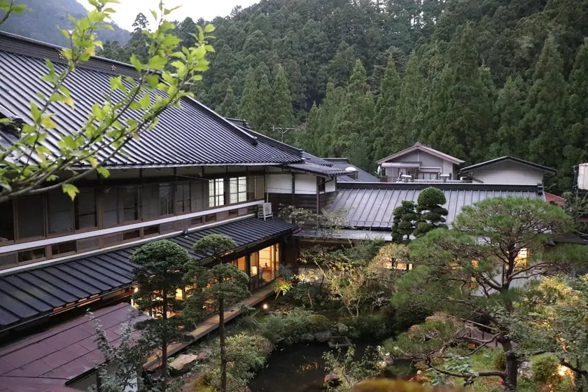 Shukubo Kakurinbo - Image 1